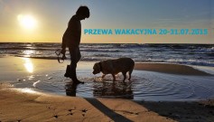 PRZERWA WAKACYJNA